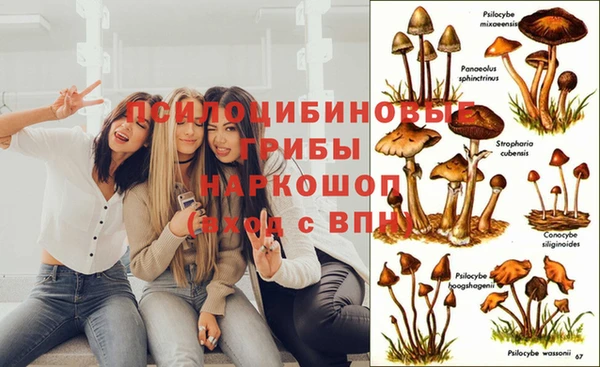 не бодяженный Покровск