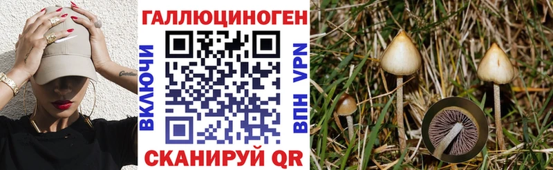 купить  цена  Мантурово  Псилоцибиновые грибы мицелий 